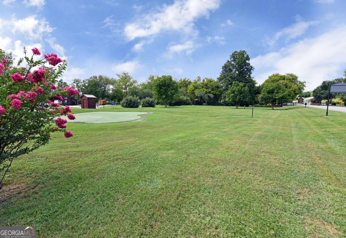 52 Foggy Mountain Road Blairsville - Photo 46