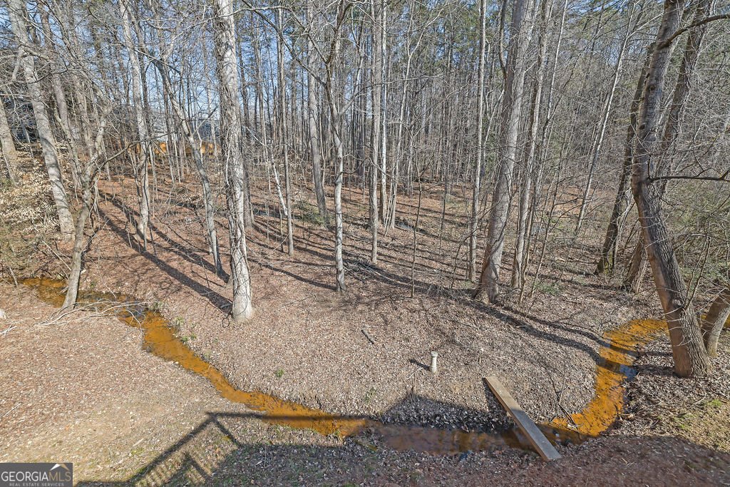 2859 Gavin Place Duluth - Photo 43