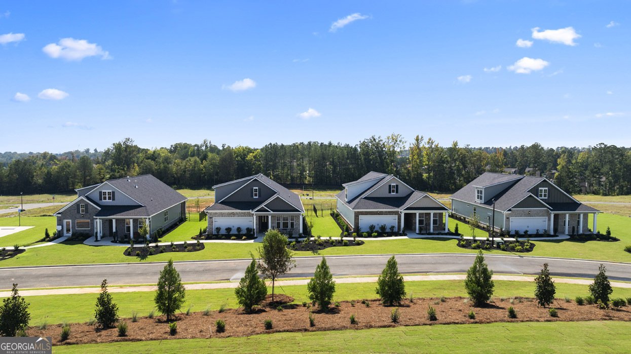 641 Parnassus Road Locust Grove - Photo 30