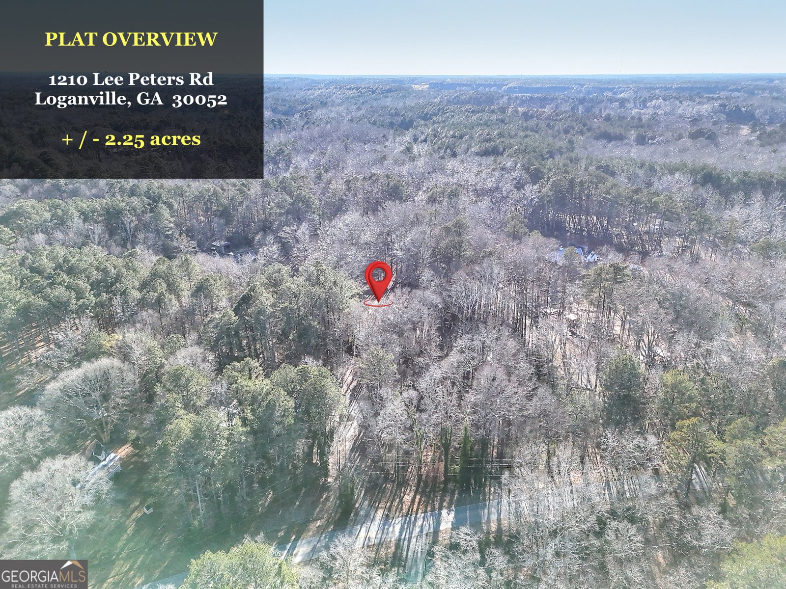 1210 Lee Peters Road Loganville - Photo 29
