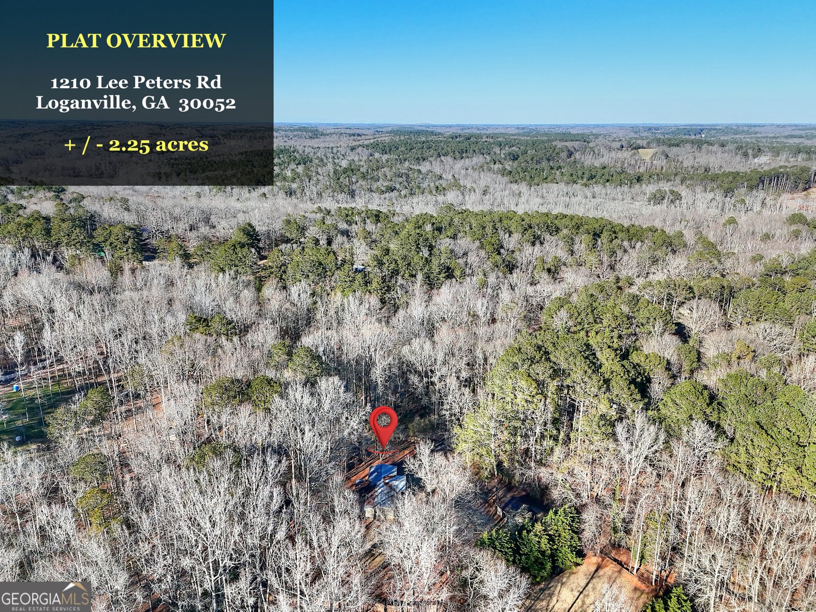 1210 Lee Peters Road Loganville - Photo 30