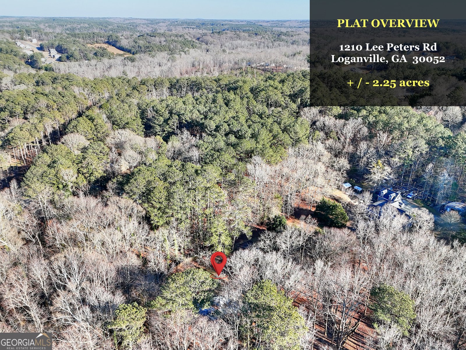 1210 Lee Peters Road Loganville - Photo 31