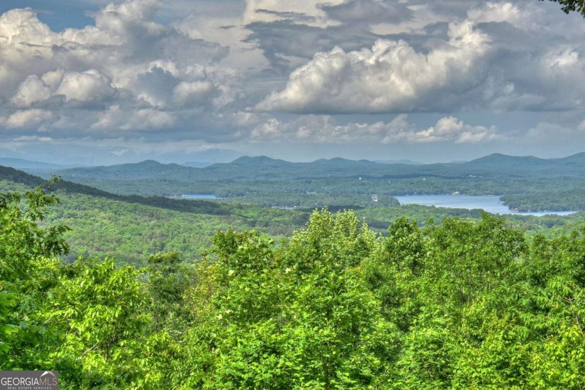 181 Ridge Circle Blue Ridge - Photo 24