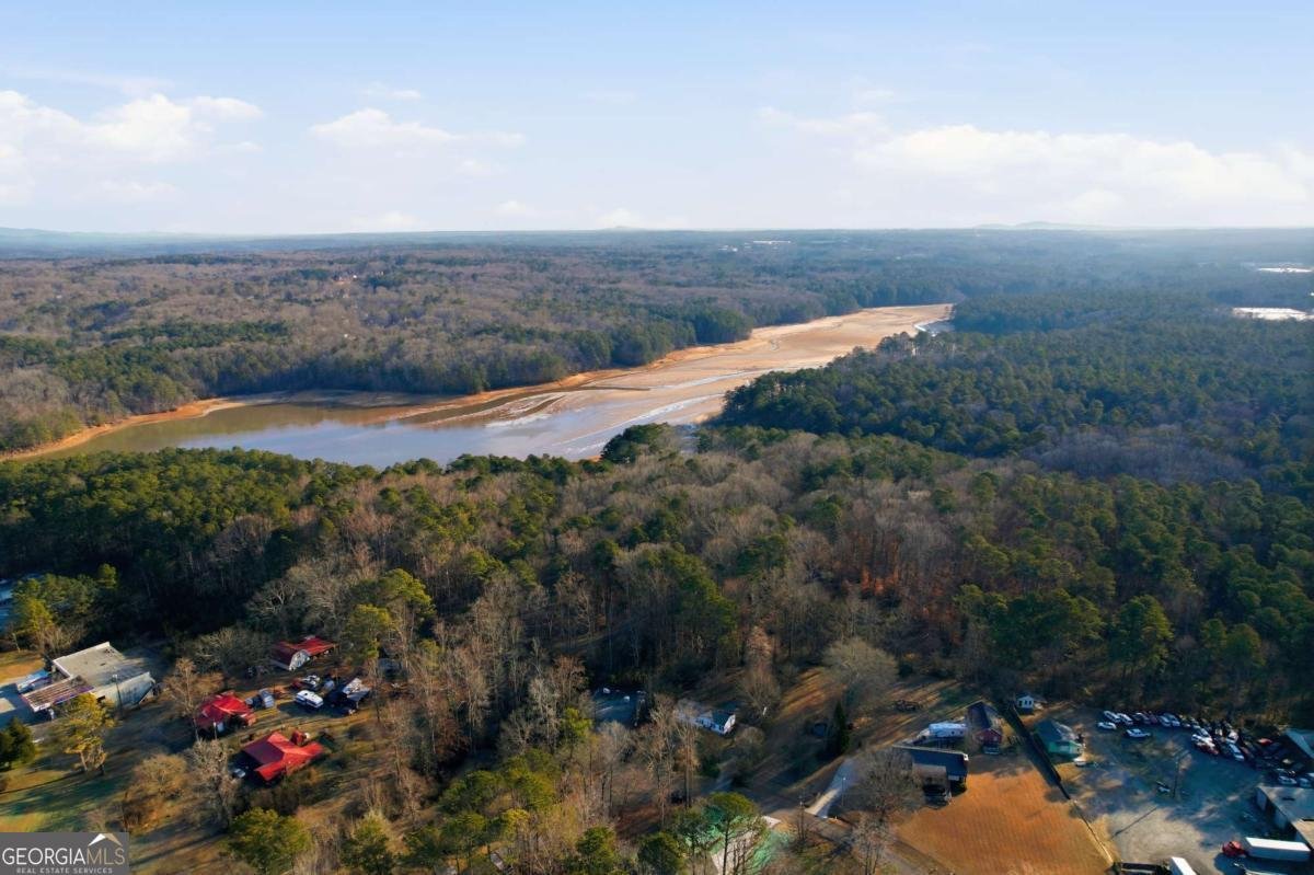 4604 Catfish Court Acworth - Photo 43