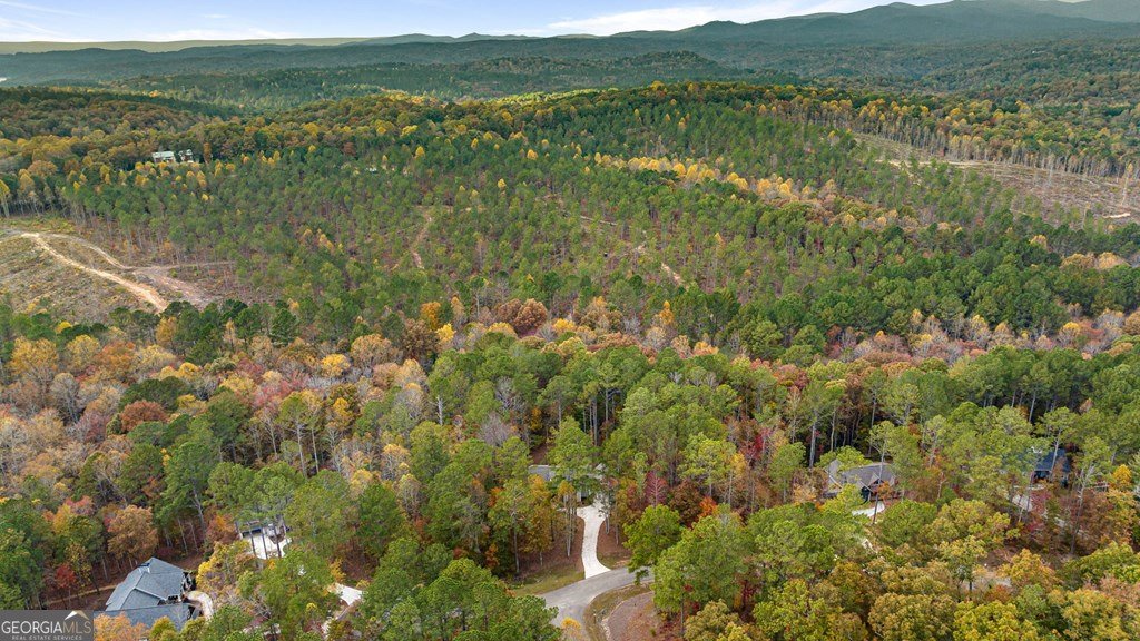 1130 Bridge Road Ellijay - Photo 31