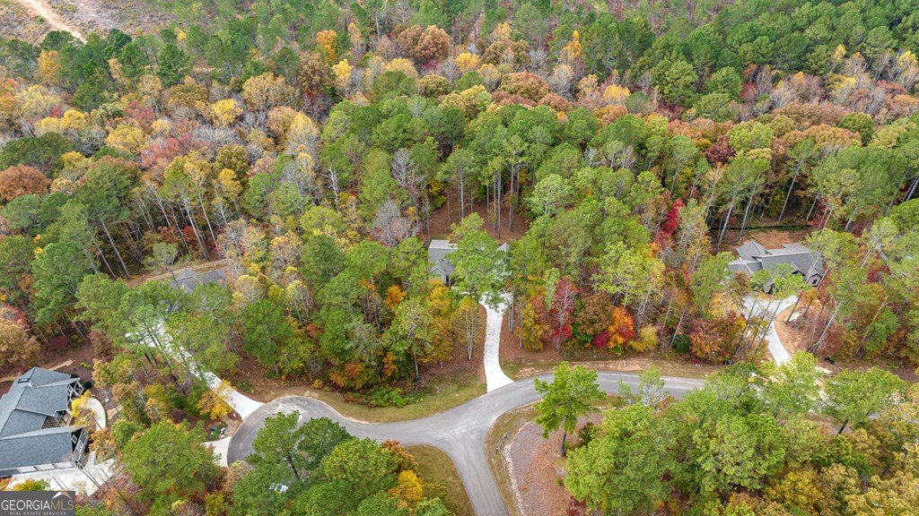 1130 Bridge Road Ellijay - Photo 37