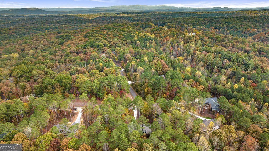 1130 Bridge Road Ellijay - Photo 41