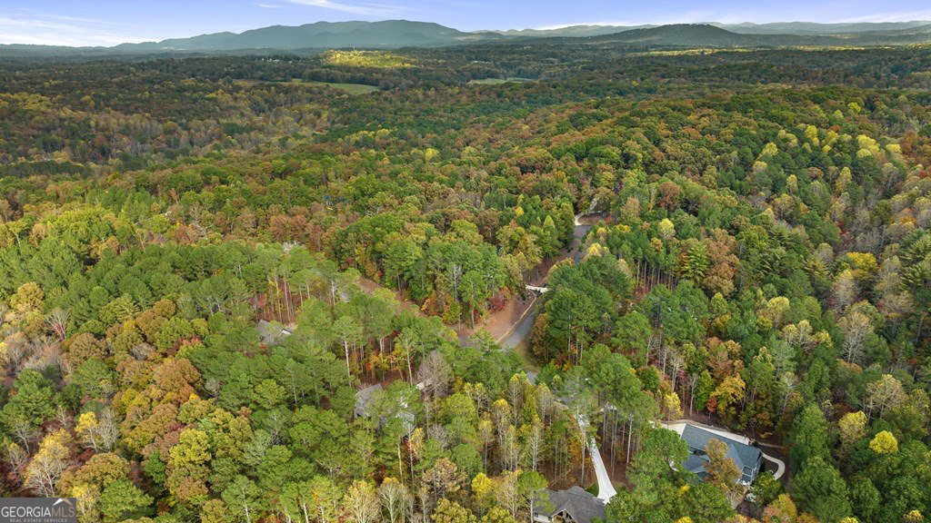 1130 Bridge Road Ellijay - Photo 42