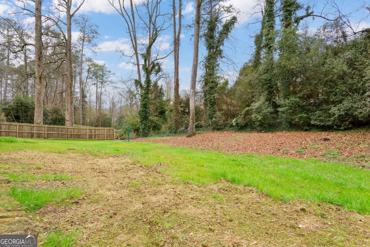 3342 Pretty Branch Drive Smyrna - Photo 67