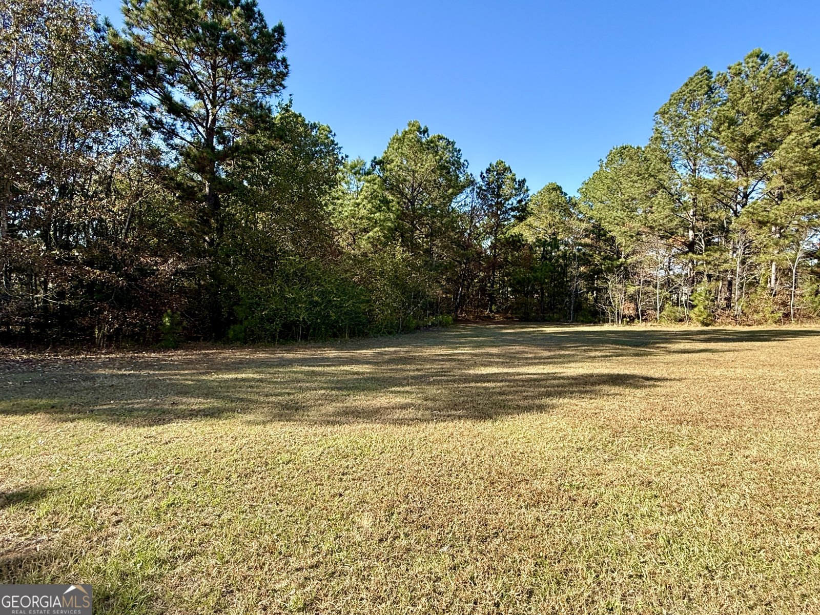 10199 Ga Highway 296 Stapleton - Photo 30