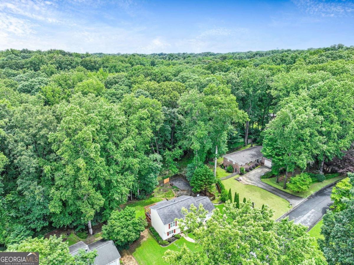 3605 Hickory Circle Smyrna - Photo 46