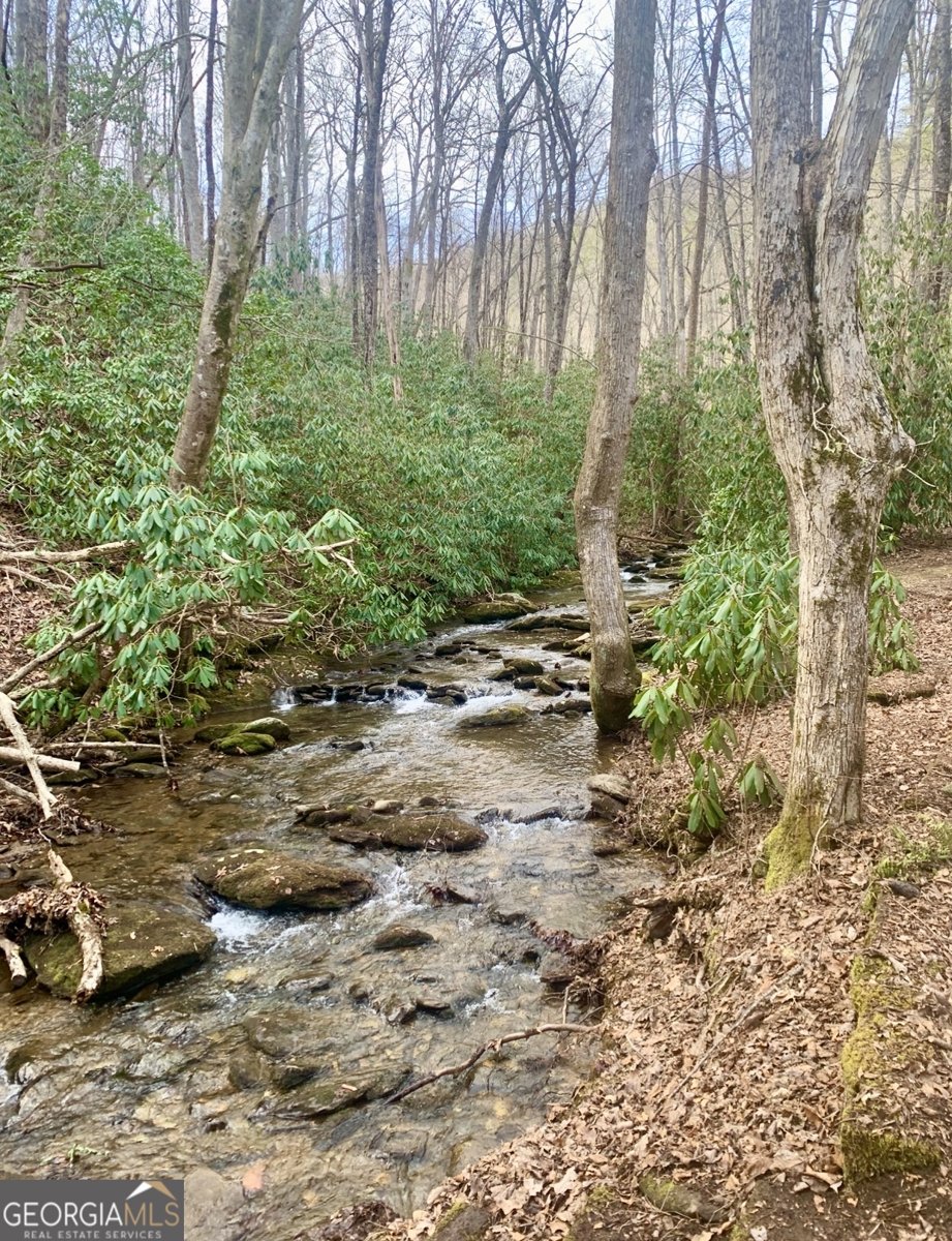 1554 Creek Road Hiawassee - Photo 14