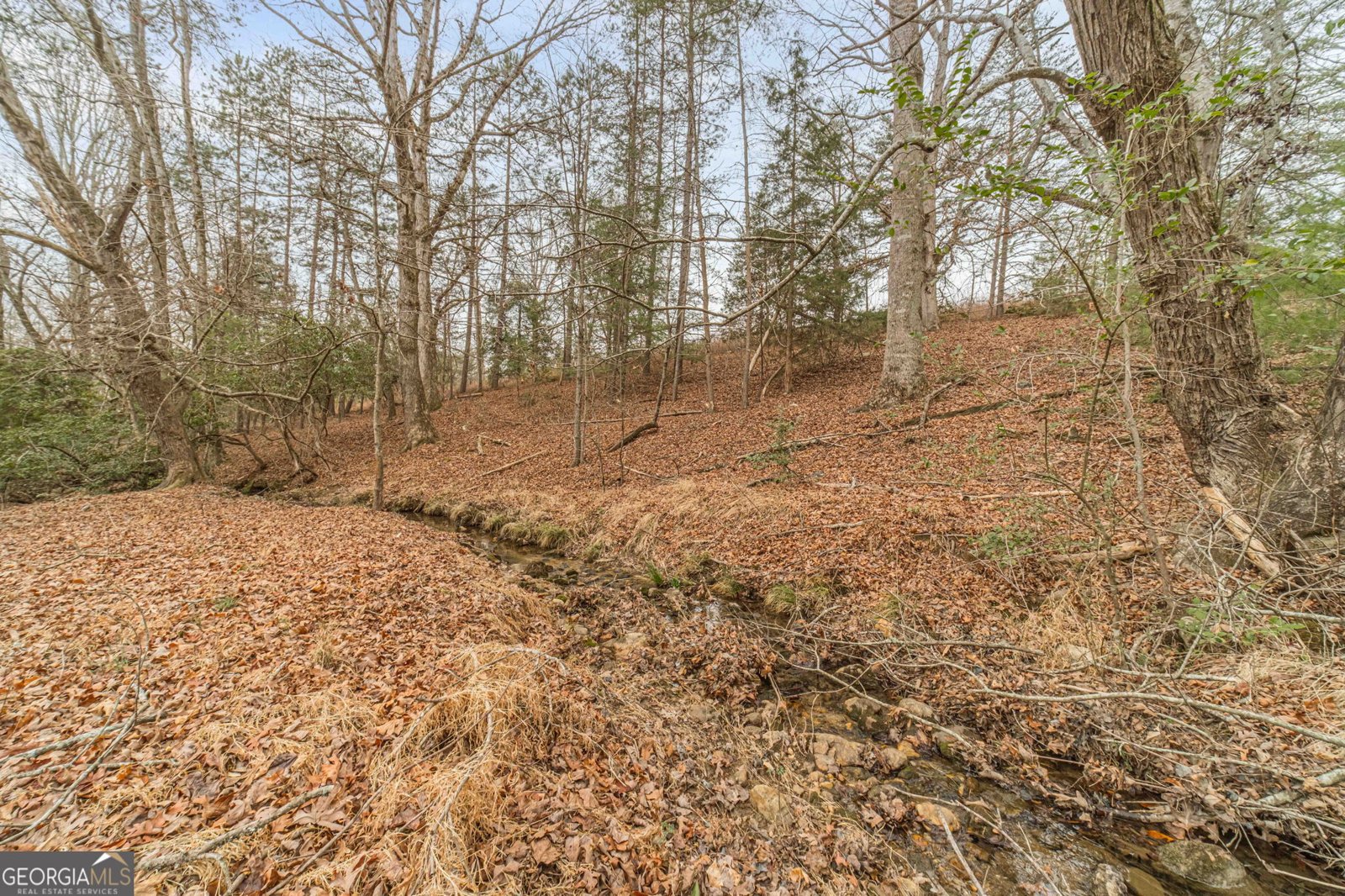 1398 Annandale Drive Clarkesville - Photo 85