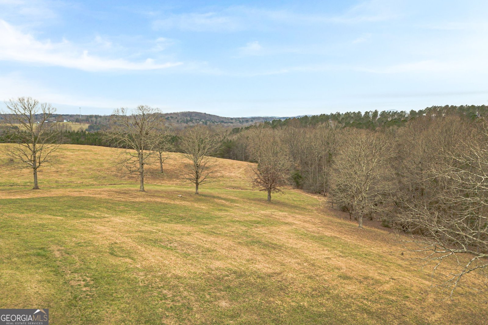 1398 Annandale Drive Clarkesville - Photo 86