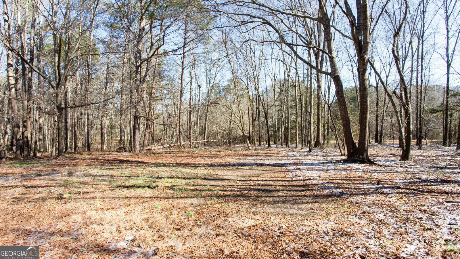 1779 Mount Vernon Road Monroe - Photo 23