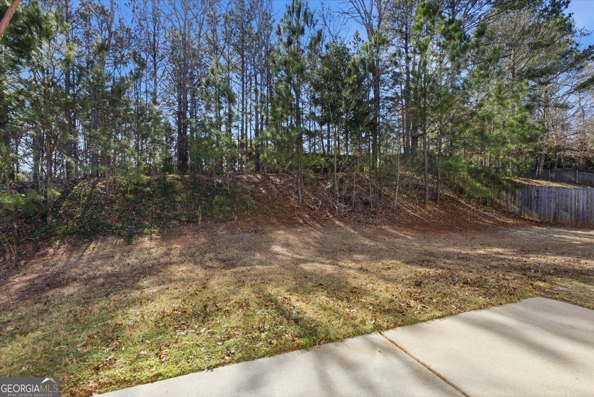 1319 Vine Circle McDonough - Photo 37