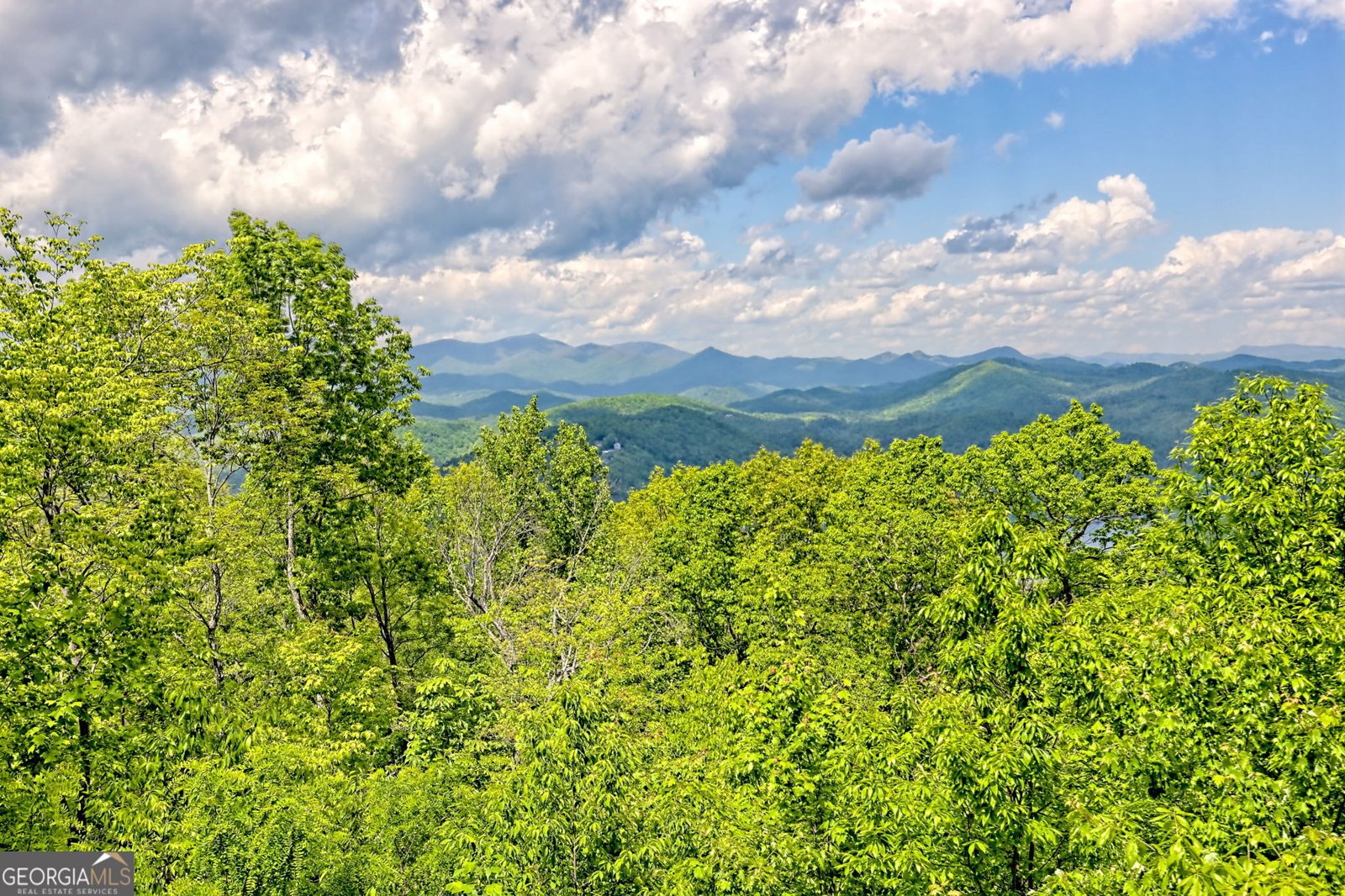 602 Charmont Drive Tiger - Photo 51