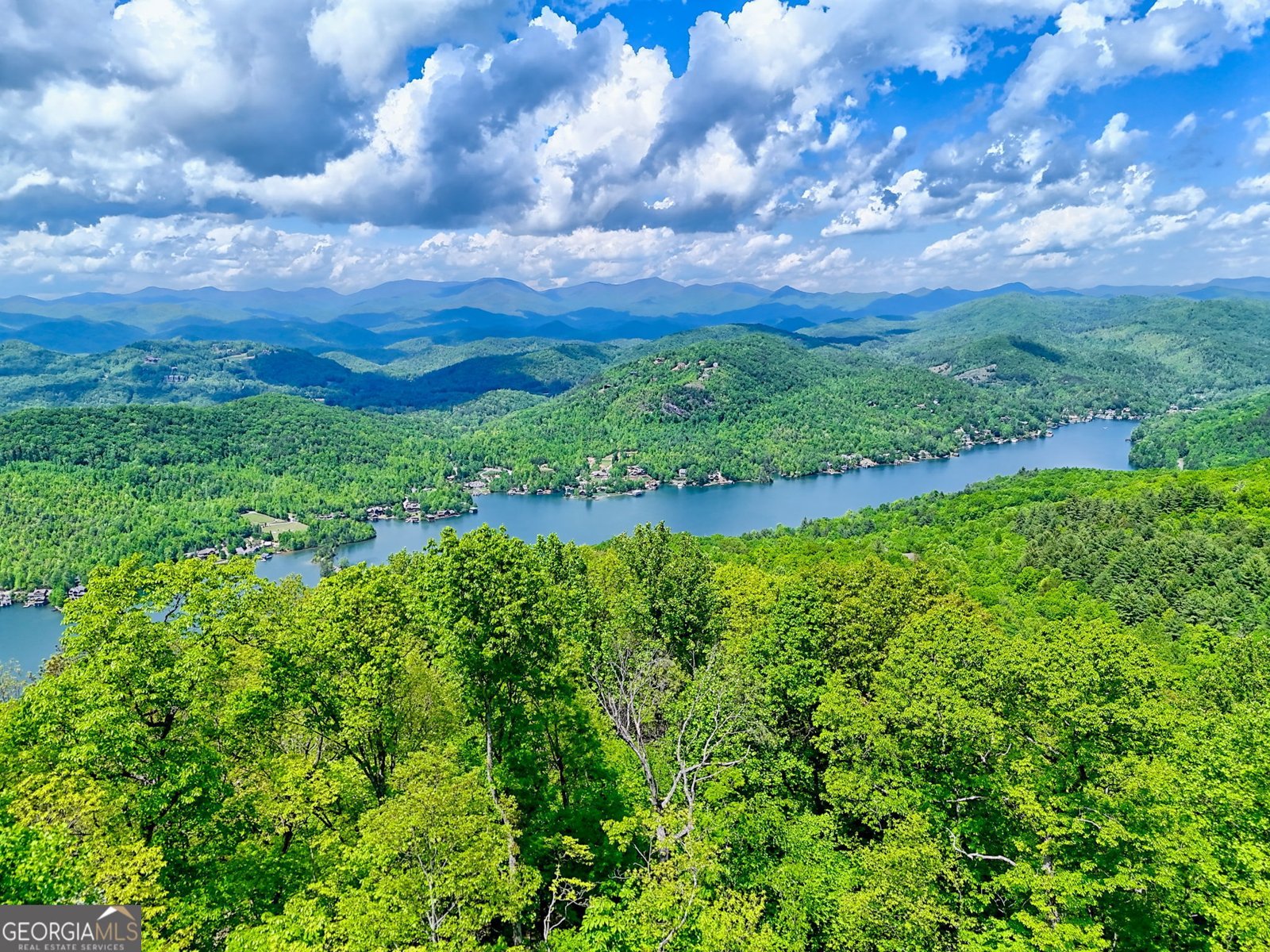 602 Charmont Drive Tiger - Photo 57