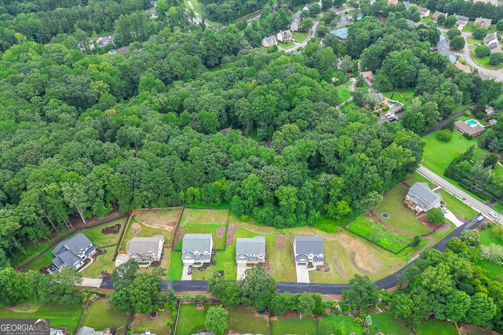 314 Level Creek Road Sugar Hill - Photo 57