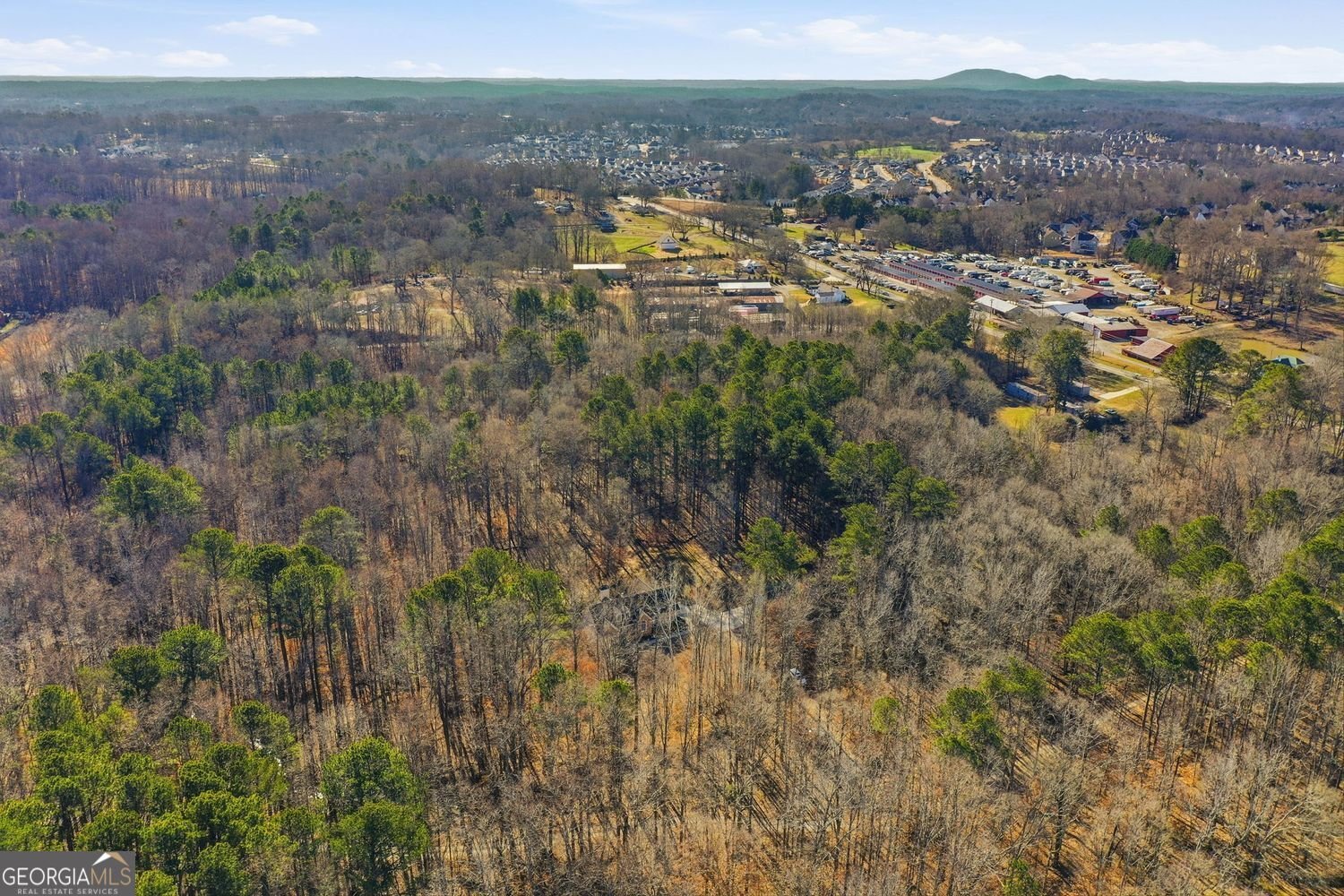 250 Randall Creek Drive Canton - Photo 40