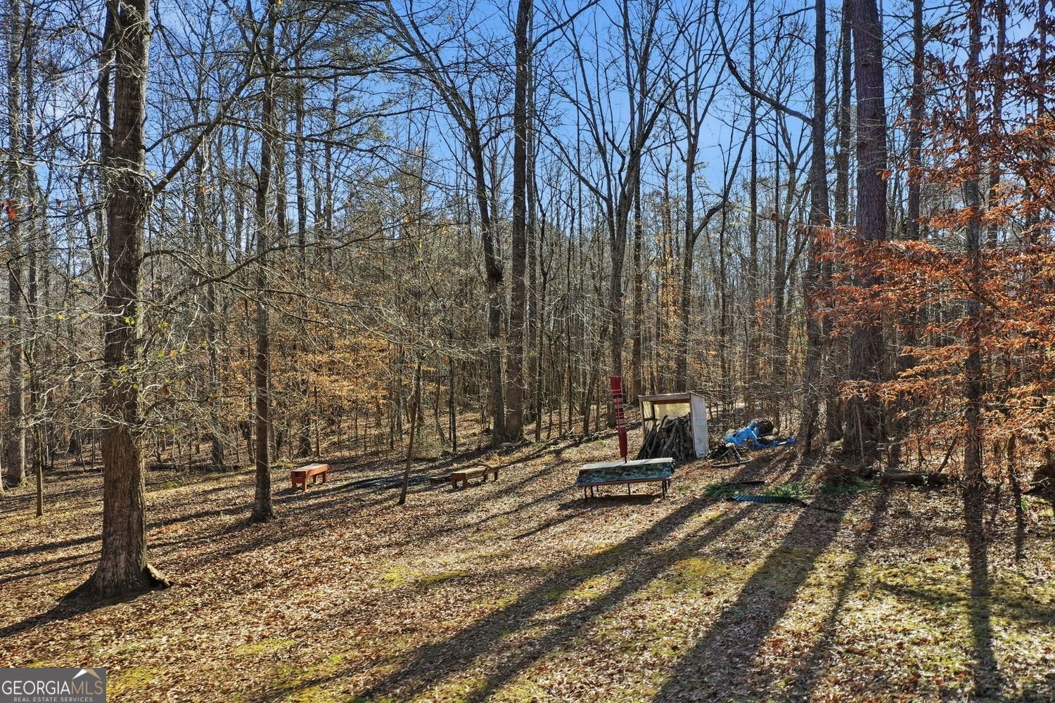 250 Randall Creek Drive Canton - Photo 42