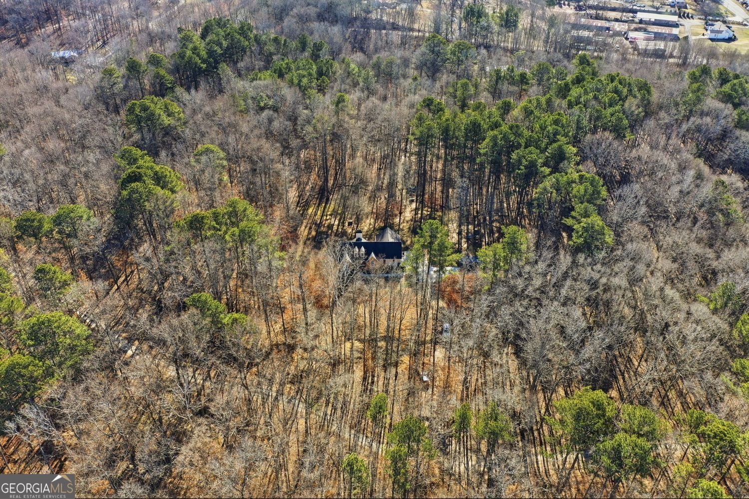 250 Randall Creek Drive Canton - Photo 45