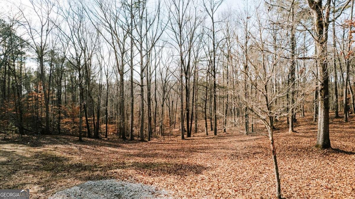 72 Frank Mathews Road Lexington - Photo 33