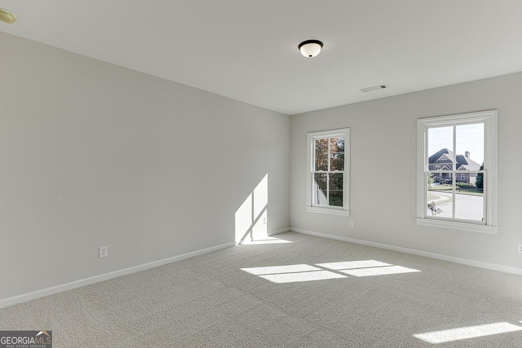 452 Thunder Road Buford - Photo 27