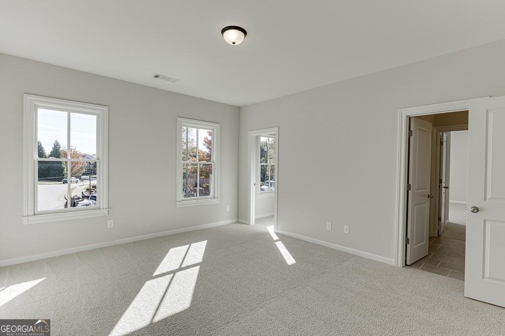 452 Thunder Road Buford - Photo 28