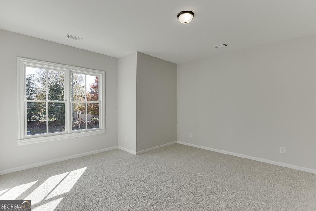 452 Thunder Road Buford - Photo 31