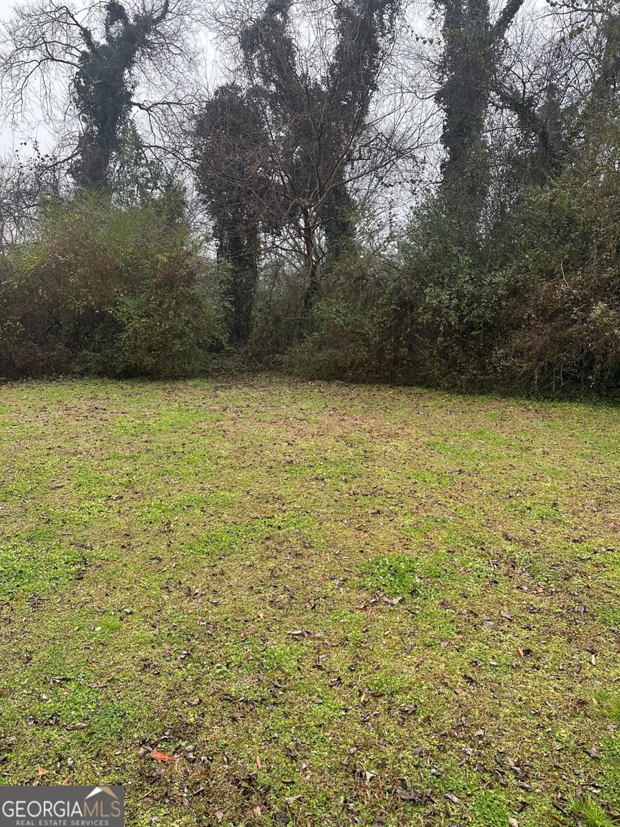 108 Wilson Avenue Rome - Photo 9