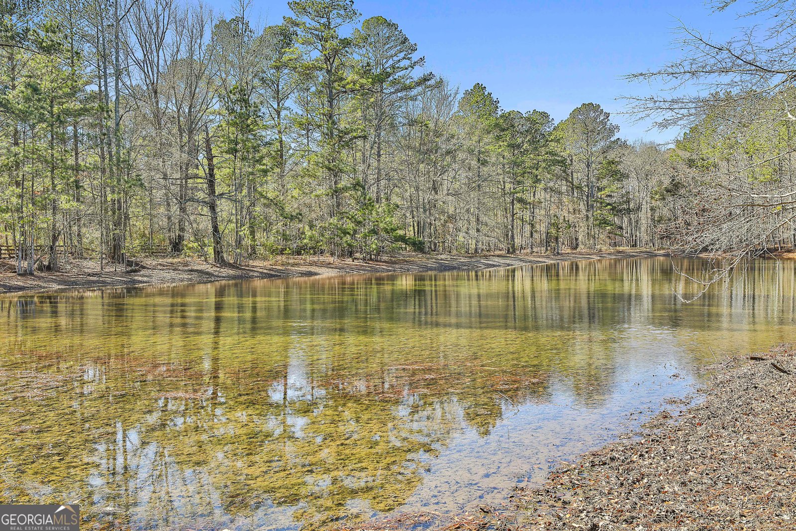 161 Mockingbird Lane Brooks - Photo 44