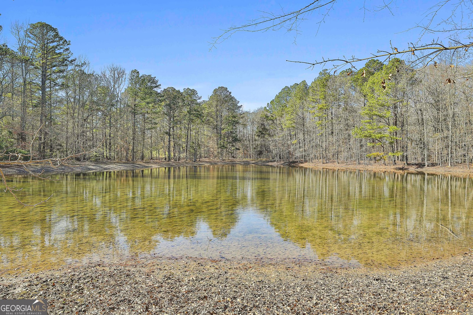 161 Mockingbird Lane Brooks - Photo 45