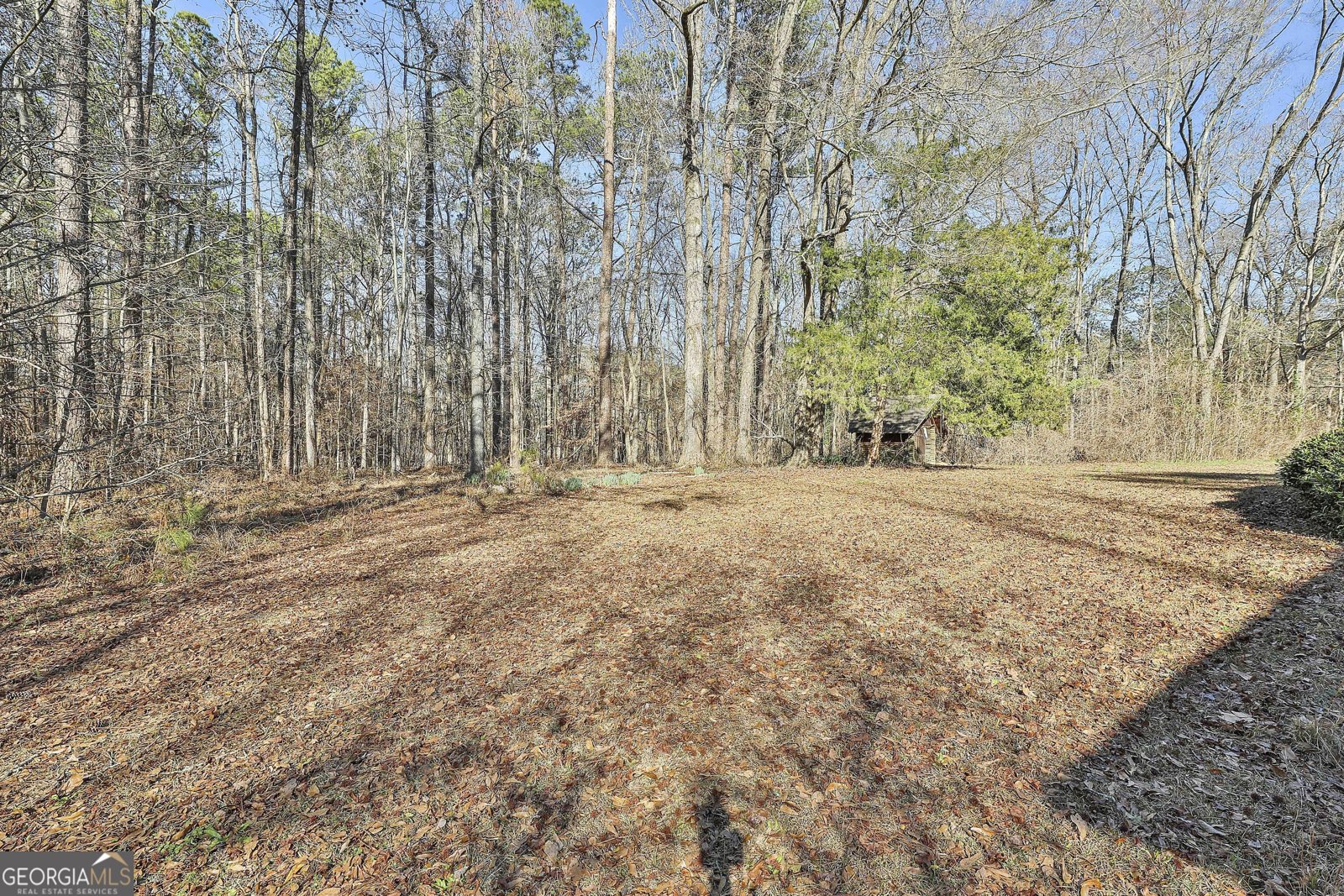 161 Mockingbird Lane Brooks - Photo 53