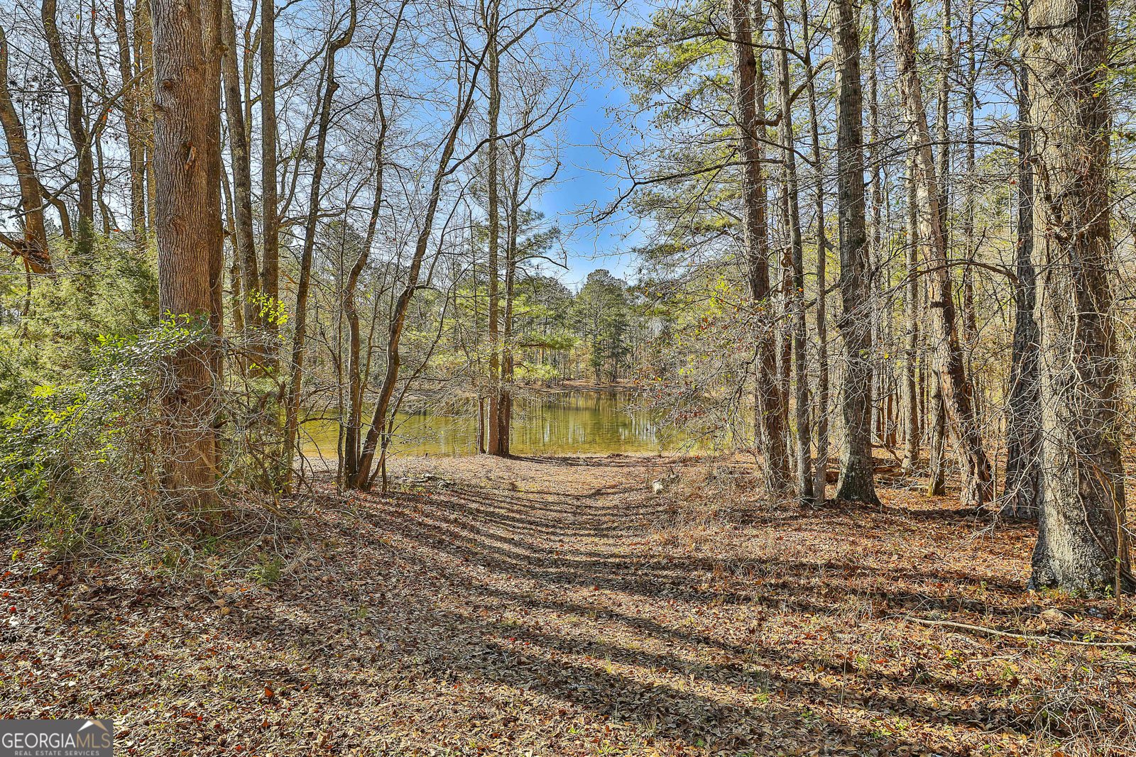 161 Mockingbird Lane Brooks - Photo 54