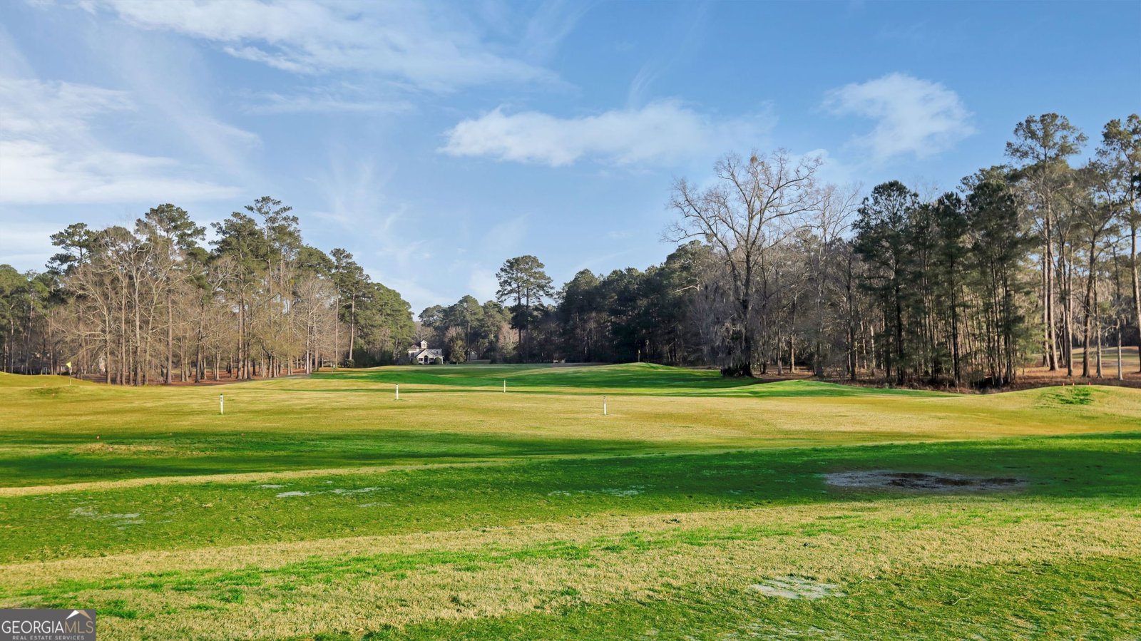 9 Wood Duck Drive Savannah - Photo 42