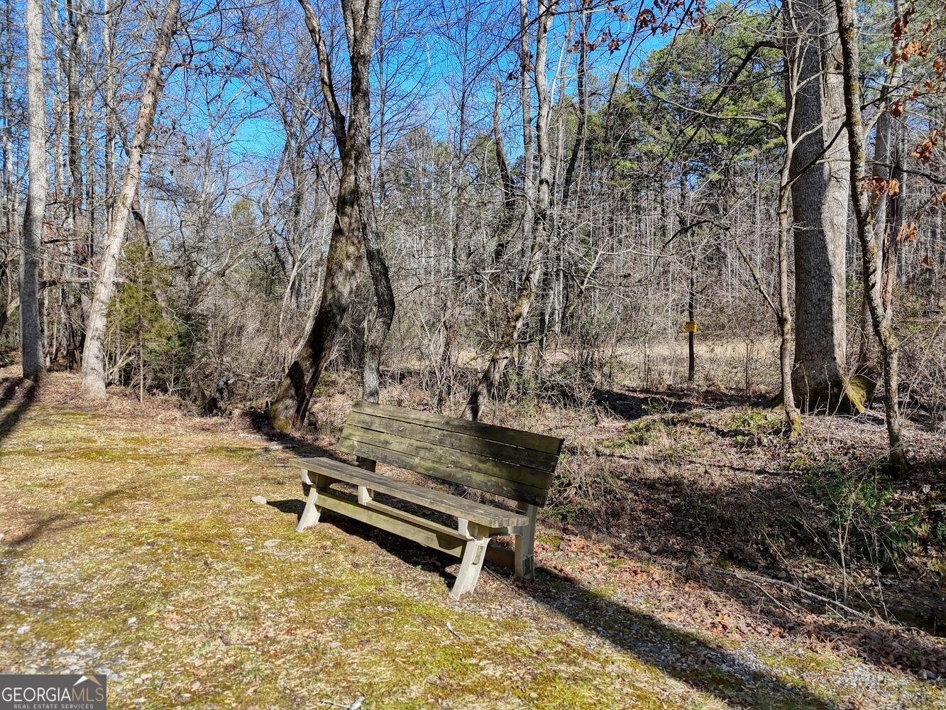 1852 St Highway 325 blairsville - Photo 37