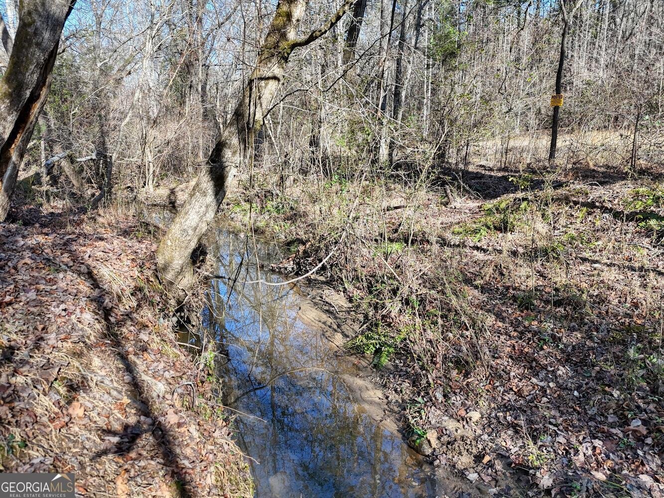 1852 St Highway 325 blairsville - Photo 38