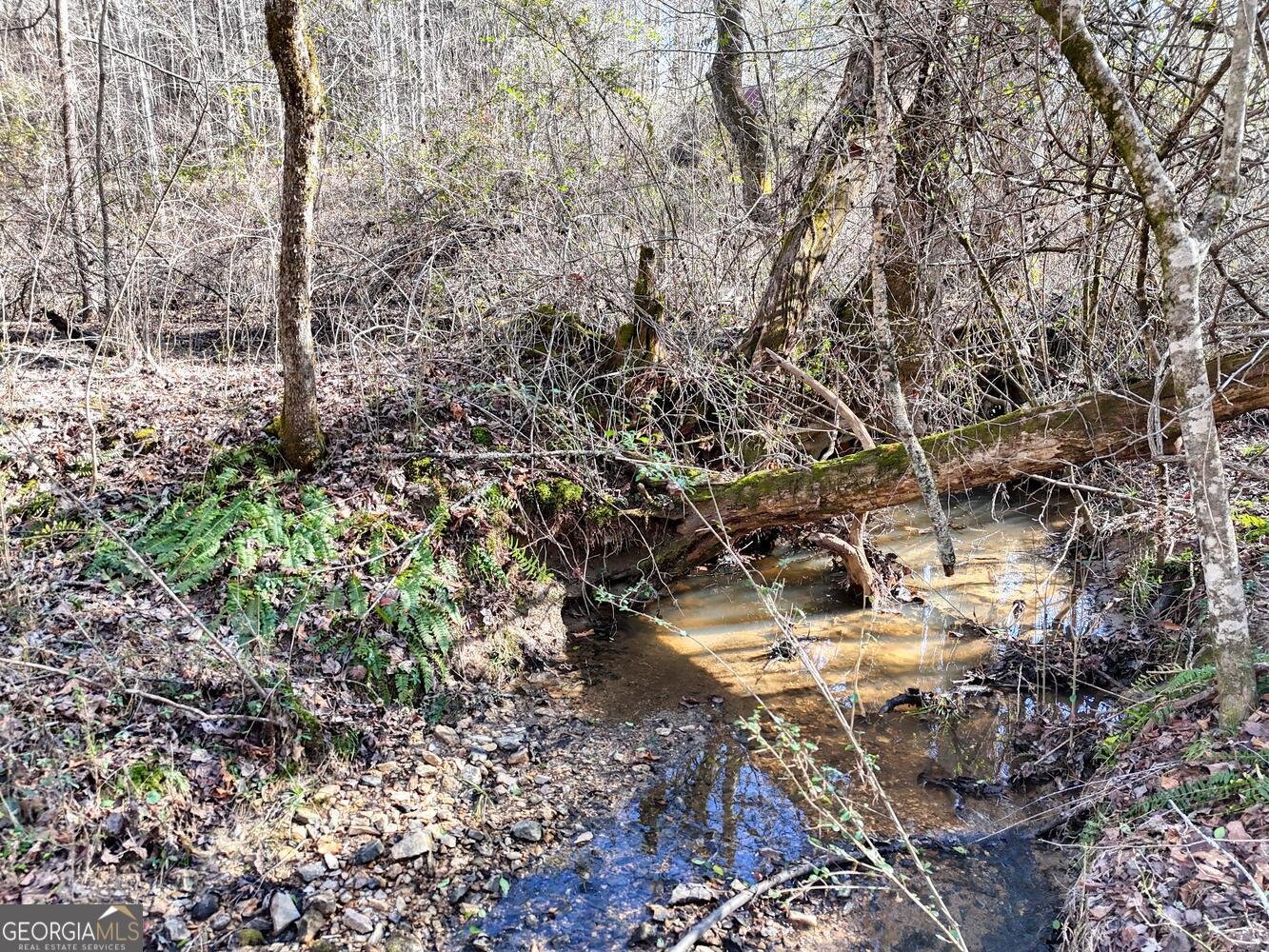 1852 St Highway 325 blairsville - Photo 39