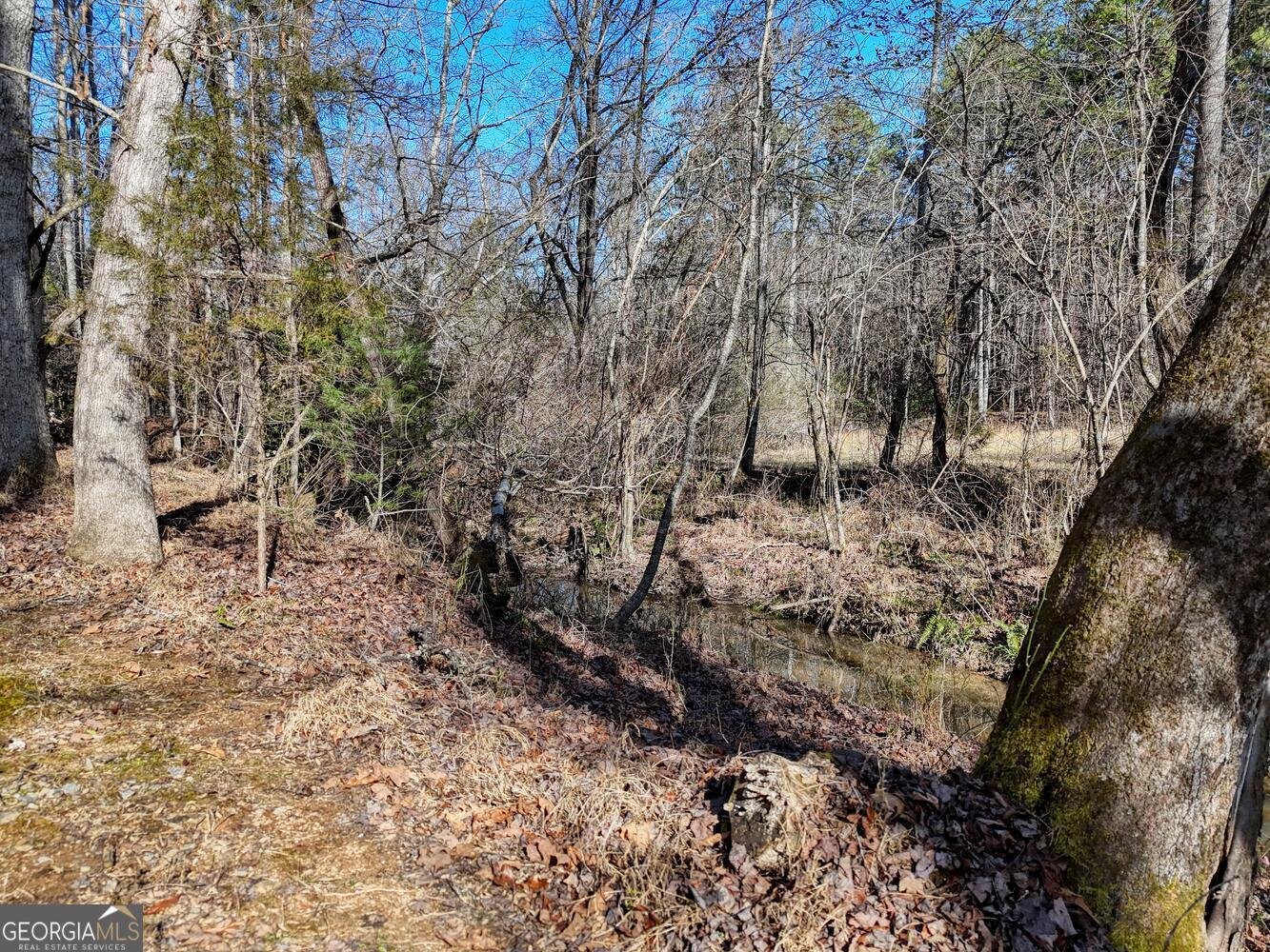 1852 St Highway 325 blairsville - Photo 40