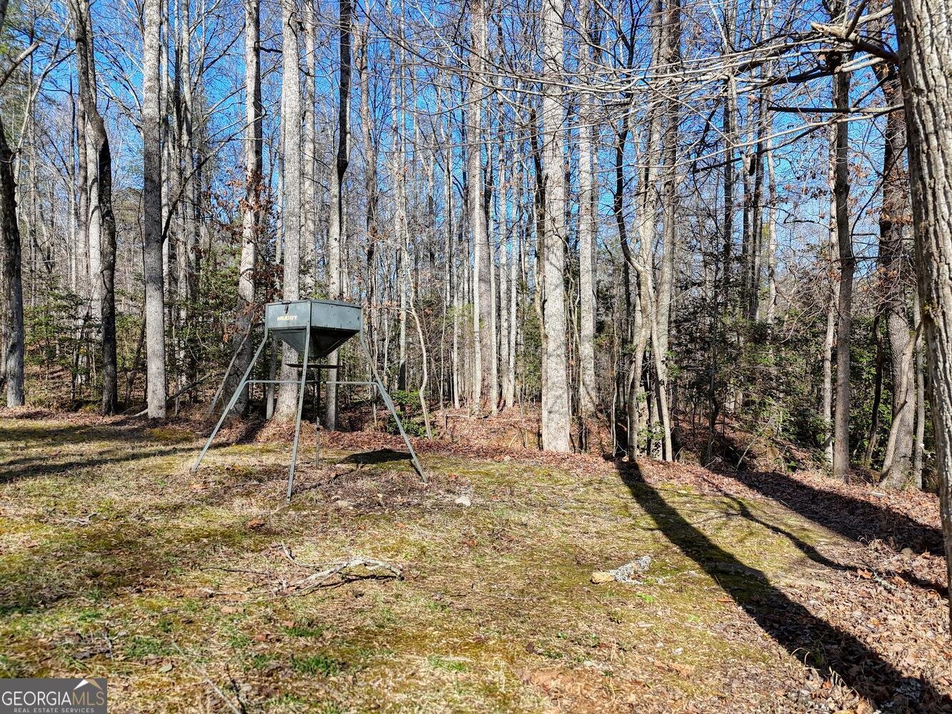 1852 St Highway 325 blairsville - Photo 41