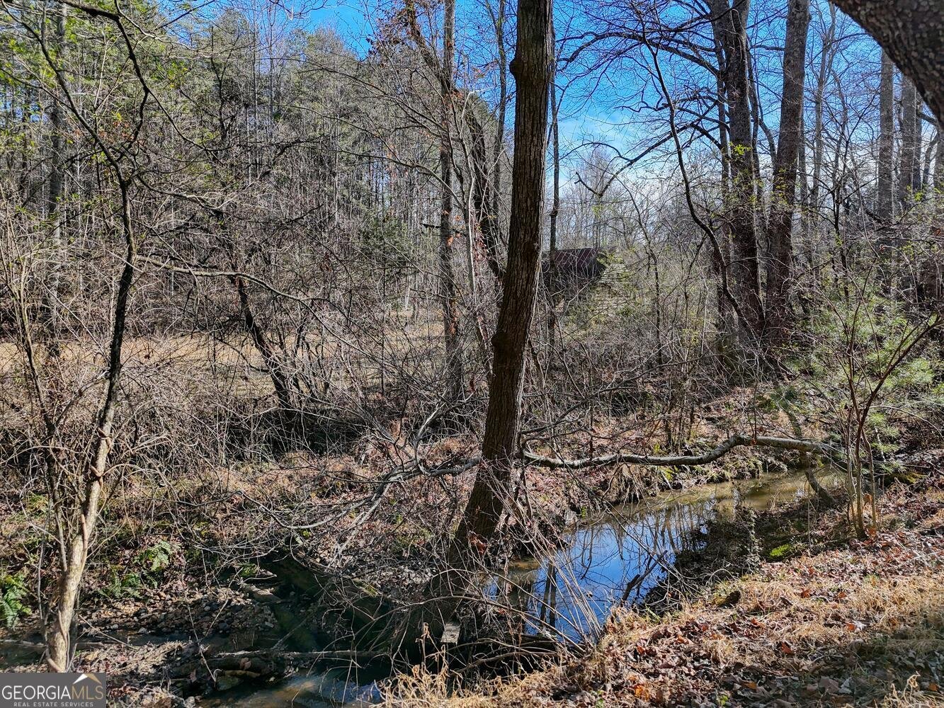 1852 St Highway 325 blairsville - Photo 42