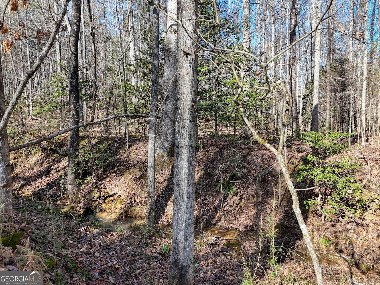 1852 St Highway 325 blairsville - Photo 43