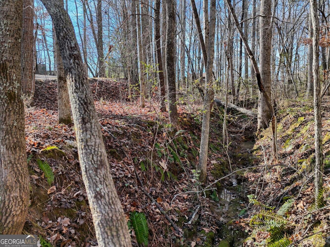 1852 St Highway 325 blairsville - Photo 44