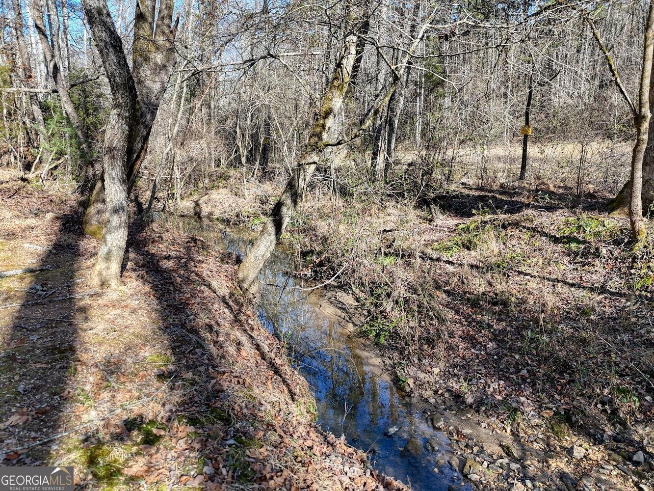 1852 St Highway 325 blairsville - Photo 6