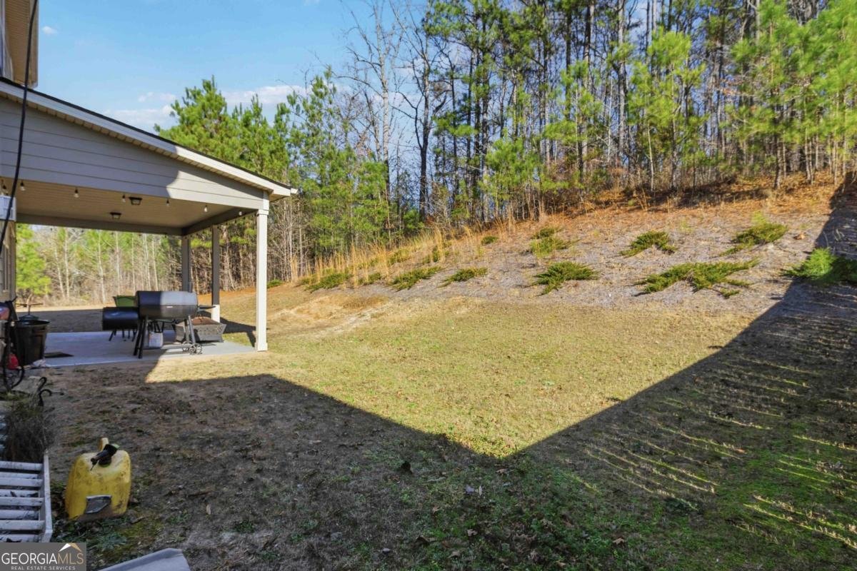 918 Olivia Drive Snellville - Photo 21