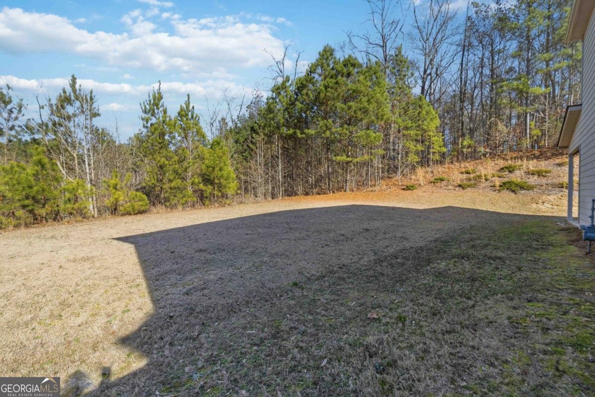 918 Olivia Drive Snellville - Photo 22