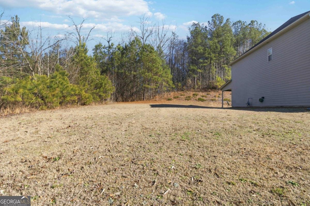 918 Olivia Drive Snellville - Photo 23