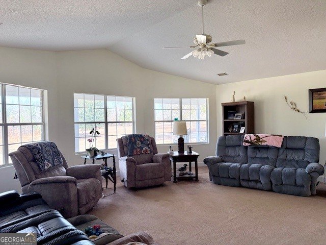 1431 Community Road Glennville - Photo 11