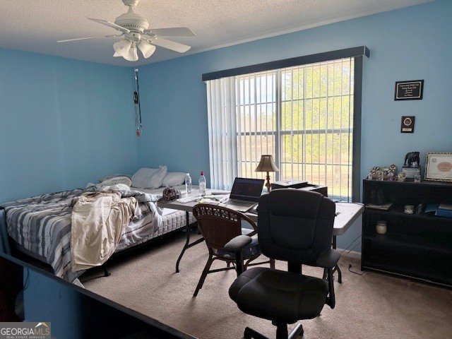 1431 Community Road Glennville - Photo 17